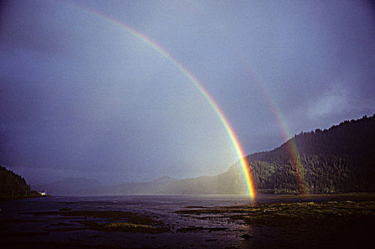 一对,彩虹,上方,海岸,温哥华岛,不列颠哥伦比亚省,加拿大