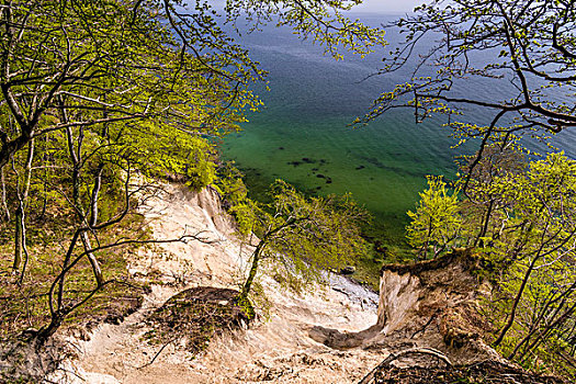 德国,梅克伦堡前波莫瑞州,岛屿,吕根,萨斯尼茨,雅斯蒙德国家公园,白垩断崖