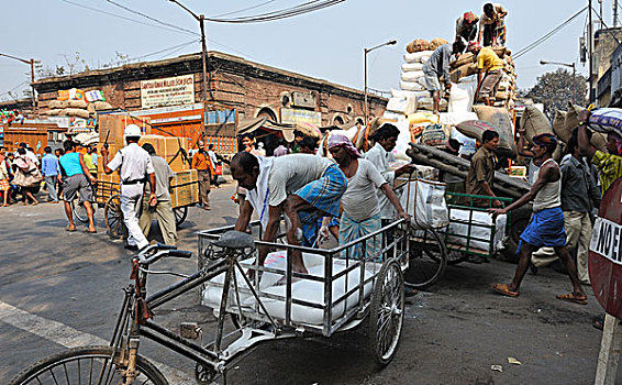 印度,加尔各答,街景,搬运工