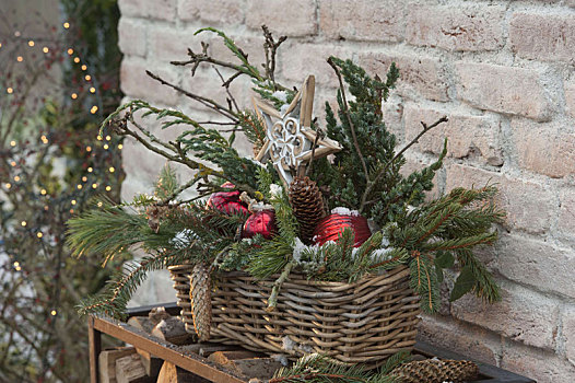圣诞节,篮子,盒子,不同,针叶树,枝条