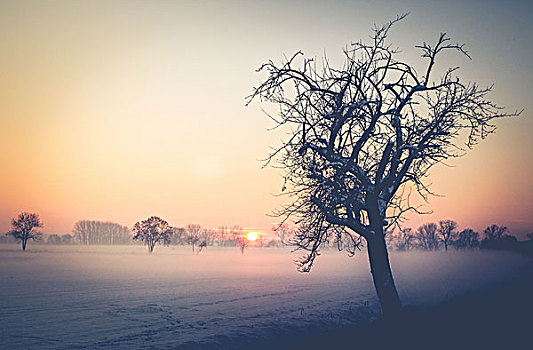 落日,冬天