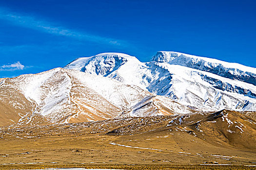 新疆,雪山,草地,蓝天