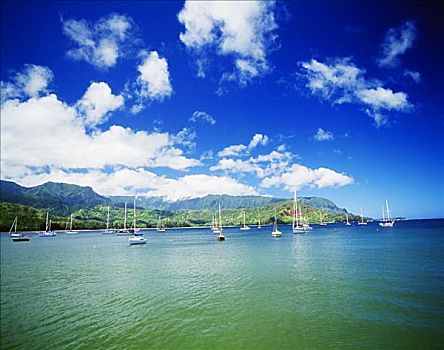 夏威夷,考艾岛,湾,码头,人行道,帆船,锚定,背景