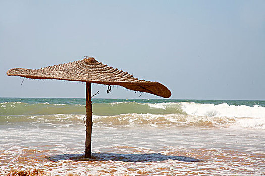 伞,水,海浪,海滩
