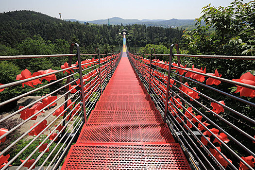 南京银杏湖吊索桥景观