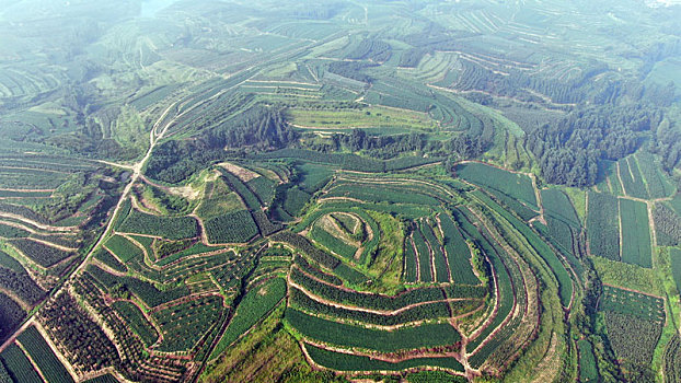 山东省日照市,青山环绕的小山村空气清新,满眼绿色惹人爱怜