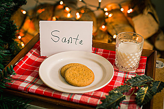 圣诞节,准备,盘子,饼干,牛奶杯,托盘,圣诞老人