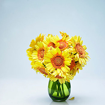 黄花,绿色,花瓶