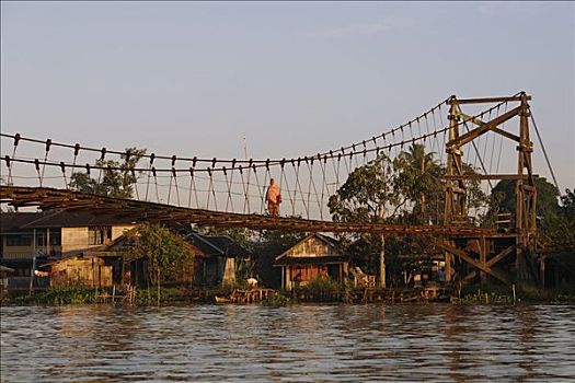 吊桥,上方,靠近,婆罗洲,印度尼西亚