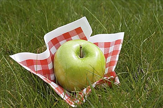 苹果,餐巾,草地