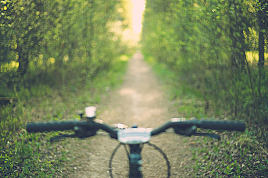 模糊,图像,自行车,车把,狭窄,林中小径,阳光,背景