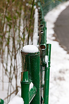 公园,植物园,篱笆,雪,竹子