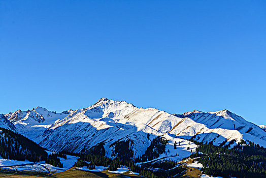 那拉提牧场的草原与雪山