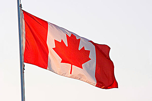 逆光,加拿大国旗,飞,加拿大国庆,加拿大国庆日