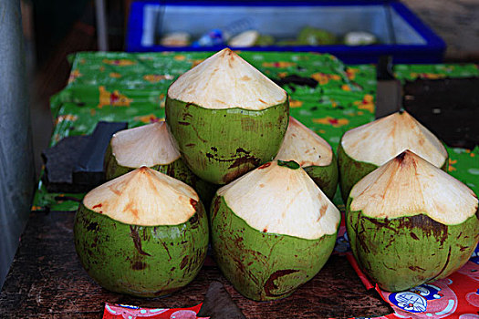 泰国海椰子