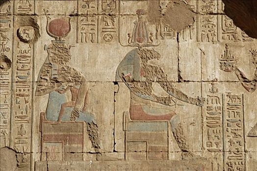 高安宝神庙,埃及,最好,保存,庙宇,植物,伊迪芙