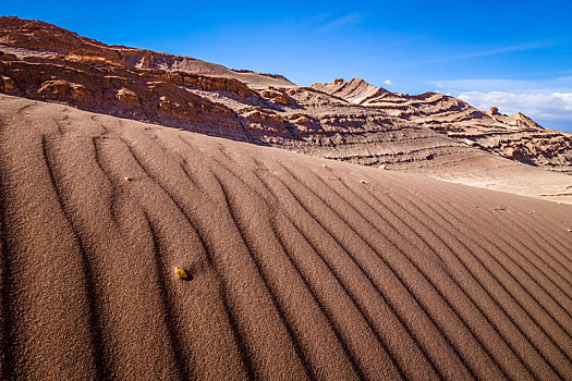 沙丘,佩特罗,阿塔卡马沙漠,智利