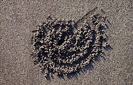 沙子,排列,灵异,螃蟹