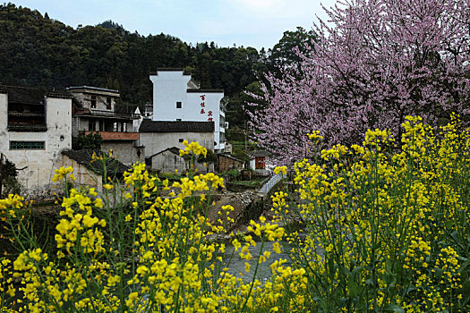 石潭村,安徽,古村落,住宅,建筑,历史,文化,居民,痕迹,村庄,老街