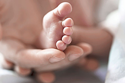 母亲手捧新生婴儿脚,爱和家庭的概念,母亲和婴儿的特写镜头
