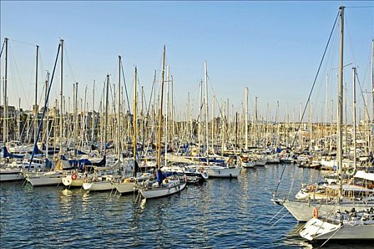 帆船,港口,巴塞罗那,加泰罗尼亚,西班牙