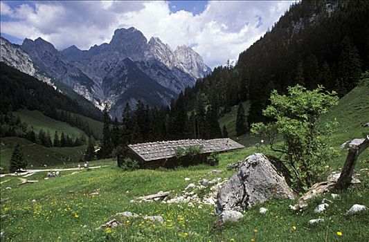 高山牧场,阿尔卑斯山,上巴伐利亚,德国,欧洲
