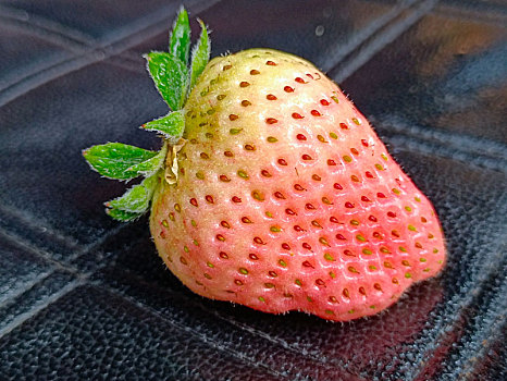 白草莓,草莓