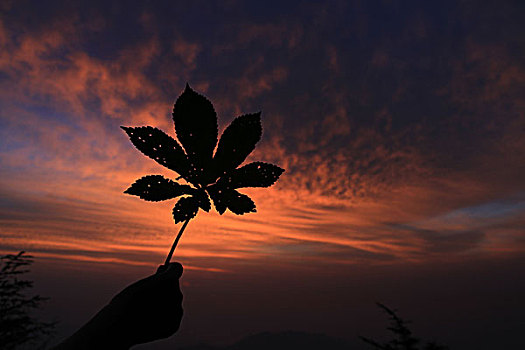 泰山晨曦