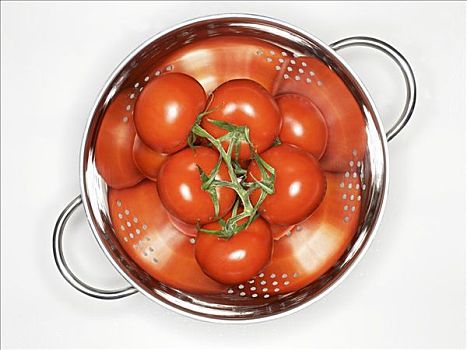 西红柿,滤器