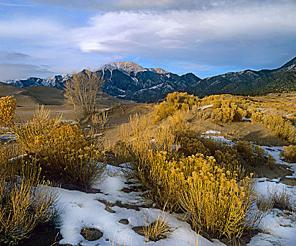 蒿属植物,沙滩,沙丘,雪,大沙丘国家纪念公园,科罗拉多