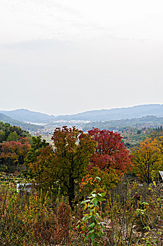 塔川秋景