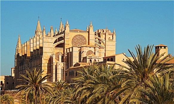 大教堂,帕尔马,西班牙