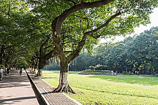 中山大学