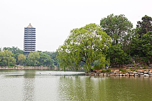 北京大学的塔