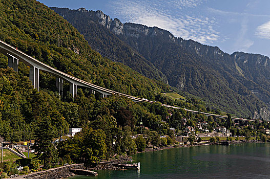 瑞士,沃州,区域,莱曼,公路,风景,日内瓦湖