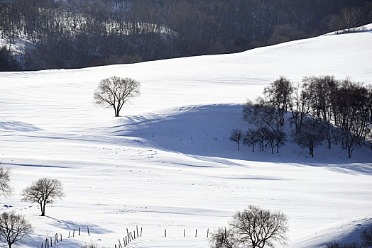 雪景