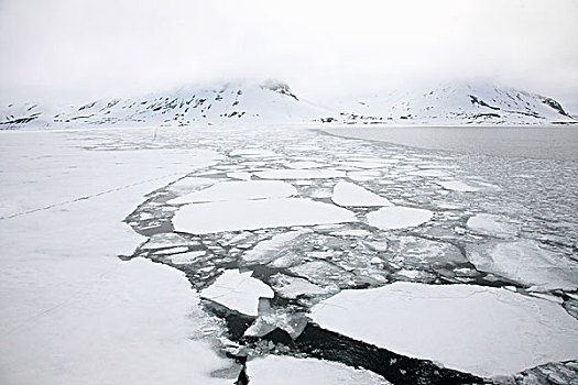 浮冰,斯瓦尔巴群岛,挪威