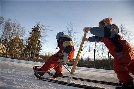 芬兰,区域,北方,拉普兰,孩子,推,雪橇,冰盖