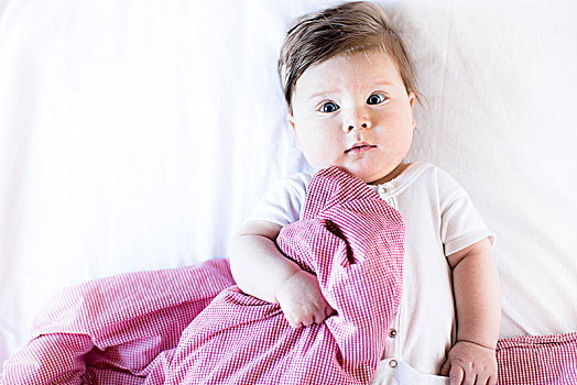 婴儿,男孩,5个月,粉色,花格布,毯子,看,惊奇,摄影