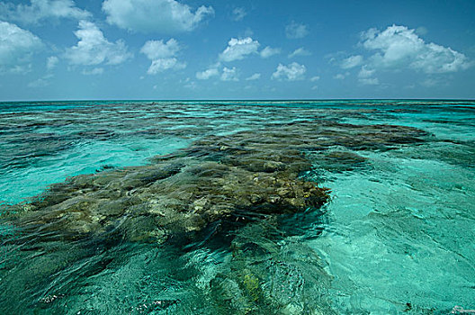 珊瑚礁,灯塔,礁石,环礁,伯利兹