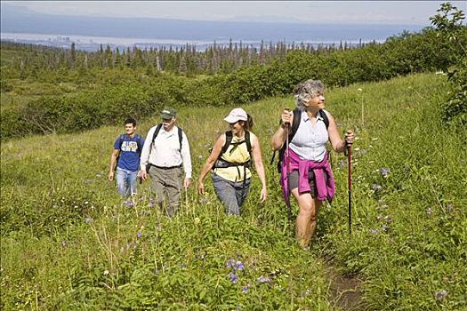 一群人,女人,远足者,湖,小路,楚加奇州立公园,靠近,阿拉斯加,夏天