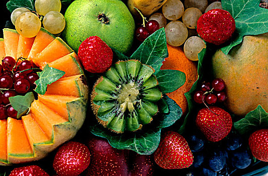 品种,水果,几维鸟,葡萄,瓜,红醋栗,草莓,梨