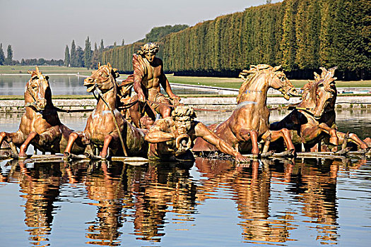 雕塑,男人,马,反射,水池,巴黎,法国