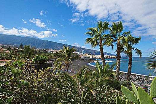 海滩,干盐湖,火山,波多黎各,特内里费岛,加纳利群岛,西班牙,欧洲