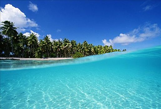 法属玻利尼西亚,环礁,青绿色,海洋,棕榈树,排列,海滩