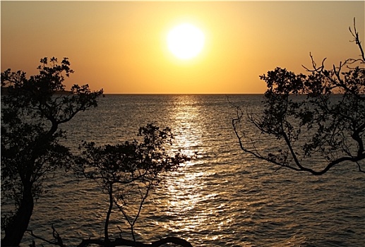 日落,加勒比海