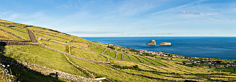 农田,火山岩,石墙,正面,风景,岛屿,亚速尔群岛,葡萄牙