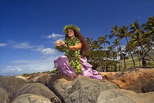 草裙舞,花环,传统服饰,岩石海岸,棕榈树,背景