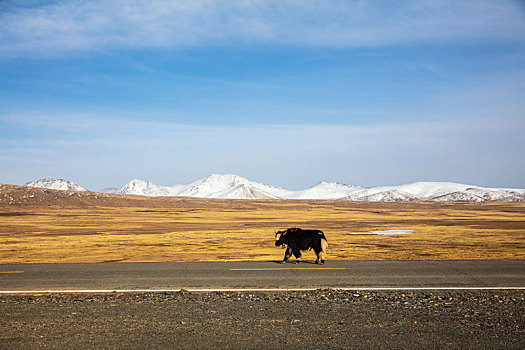 汽车风景