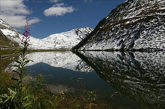 湖,反射,初雪,瑞士